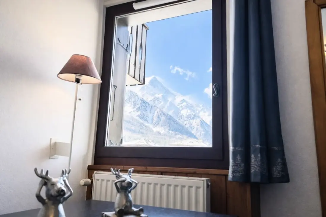 Apt Avec Balcon Vue Mont Blanc En Centre Ville !