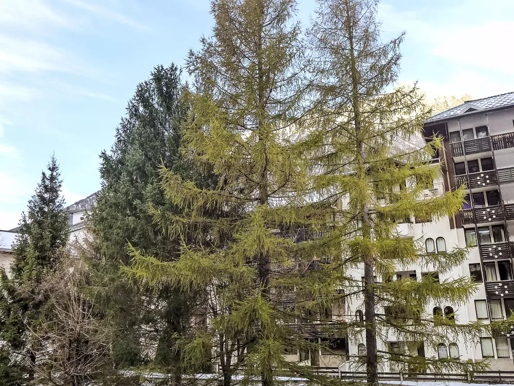 Résidence Jonquilles