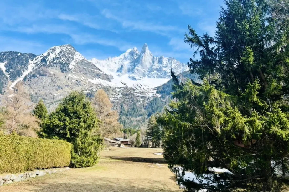 Chalet Cosy | Vue Mont-blanc