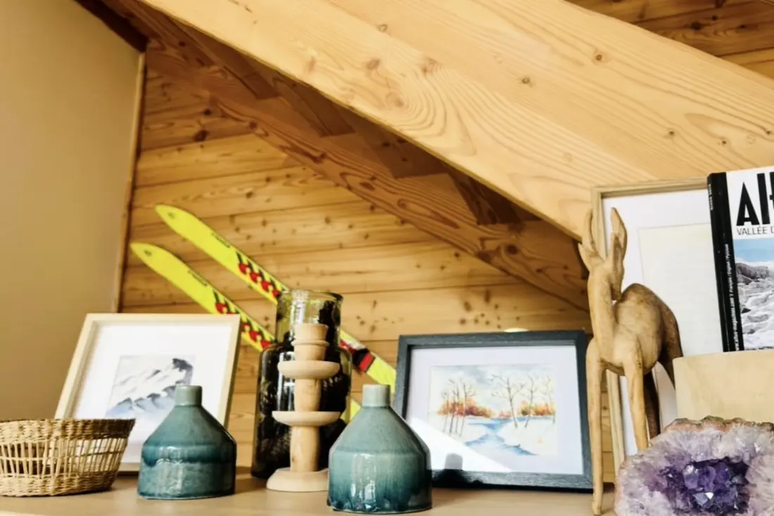 Chalet Cosy | Vue Mont-blanc