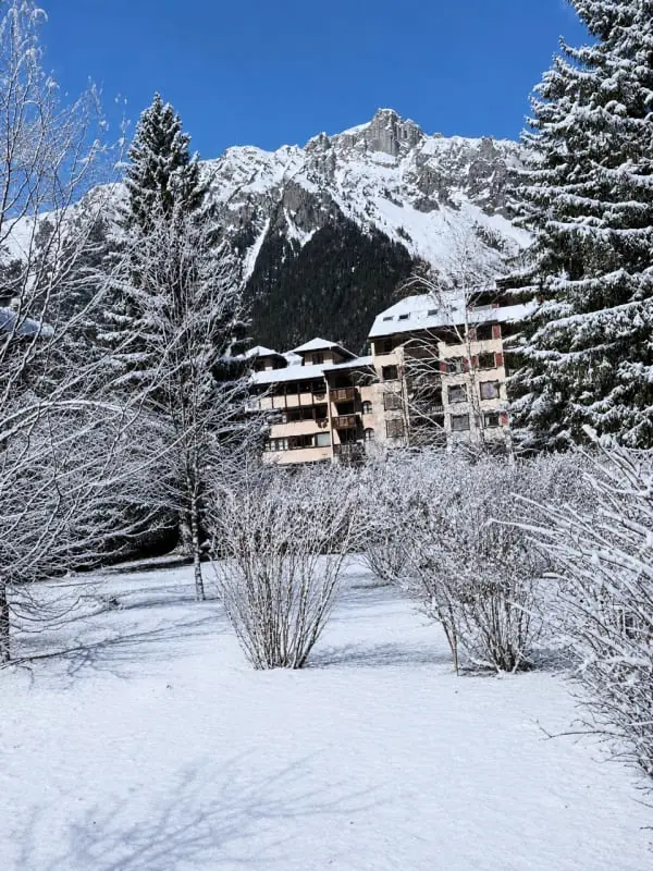 Studio Avec Terrasse Plein Sud Et Vue Mont-blanc