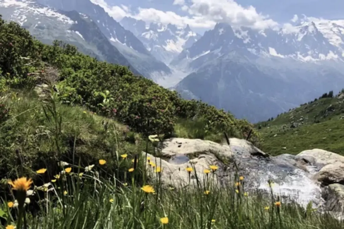 Cosy + Balcon Vue Mont-blanc • Ultra Bien Placé
