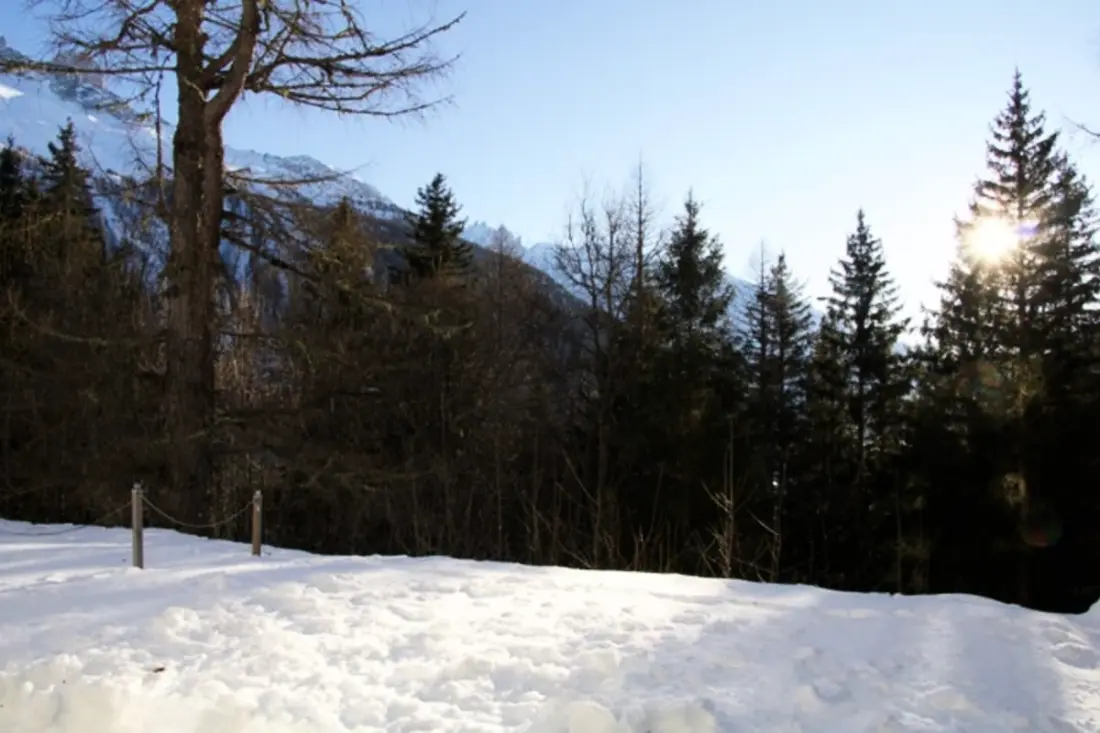 Un Petit Coin De Paradis Au Cœur De La Nature