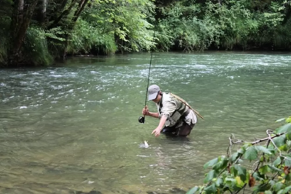 Camping de Boÿse 4 étoiles★★★★