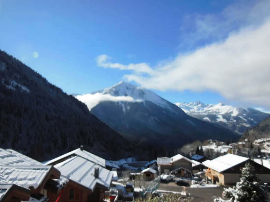 Chalet Fleur De Neige