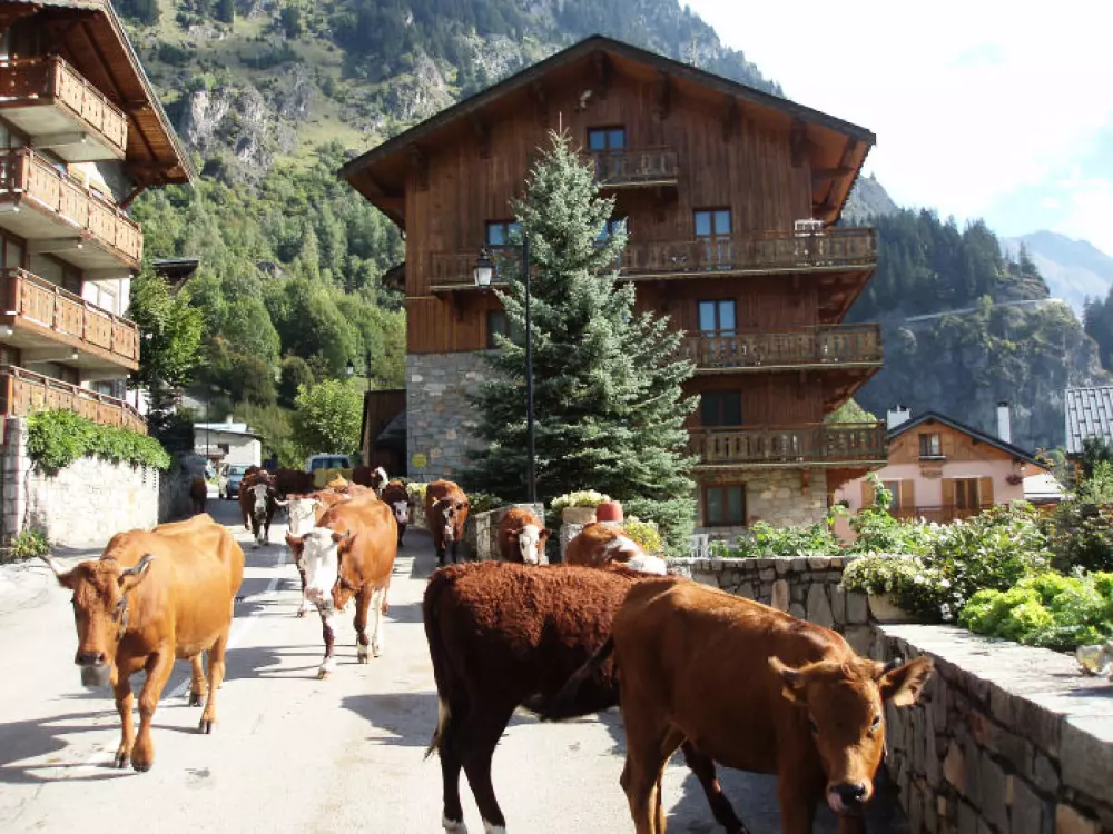 Chalets du Bouquetin4 étoiles★★★★