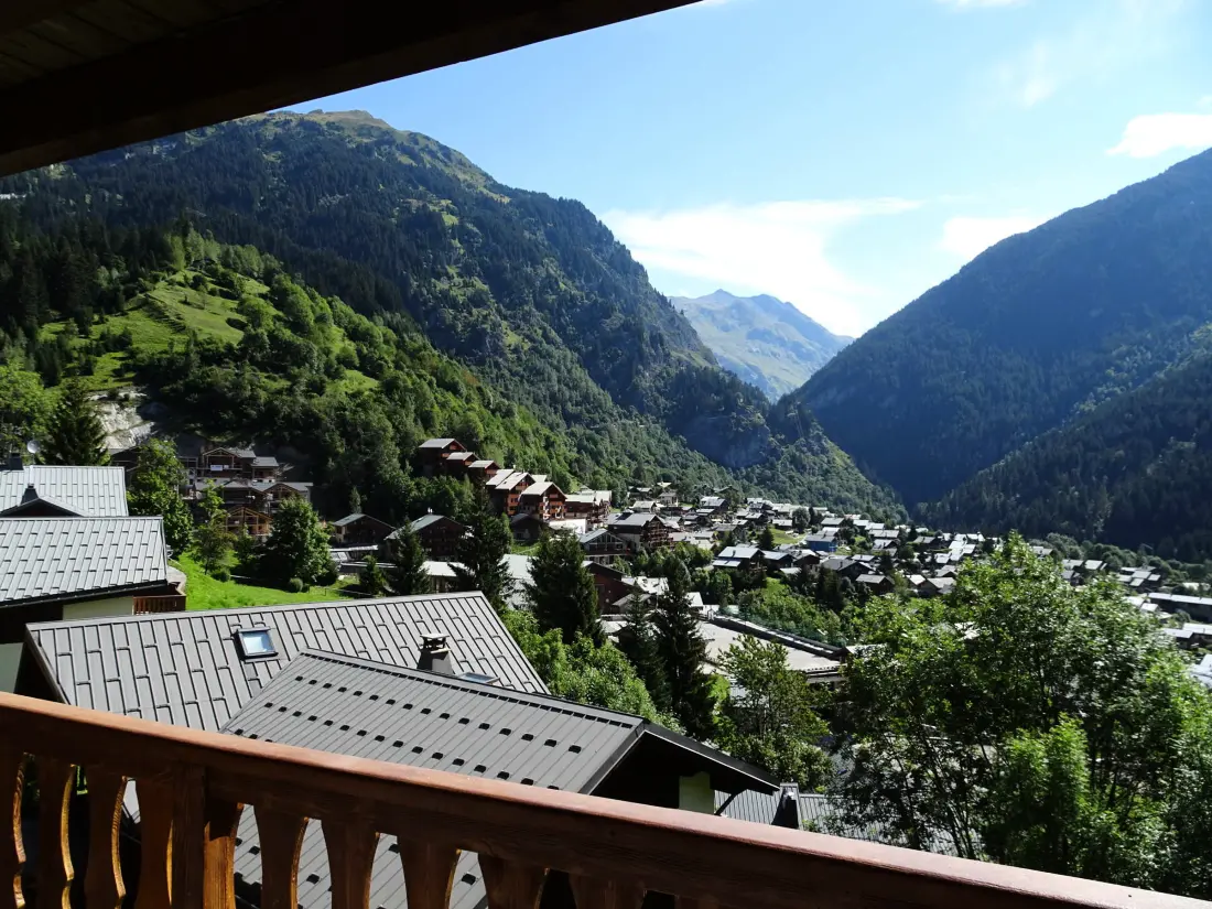 Location de Vacances Champagny-en-Vanoise 13