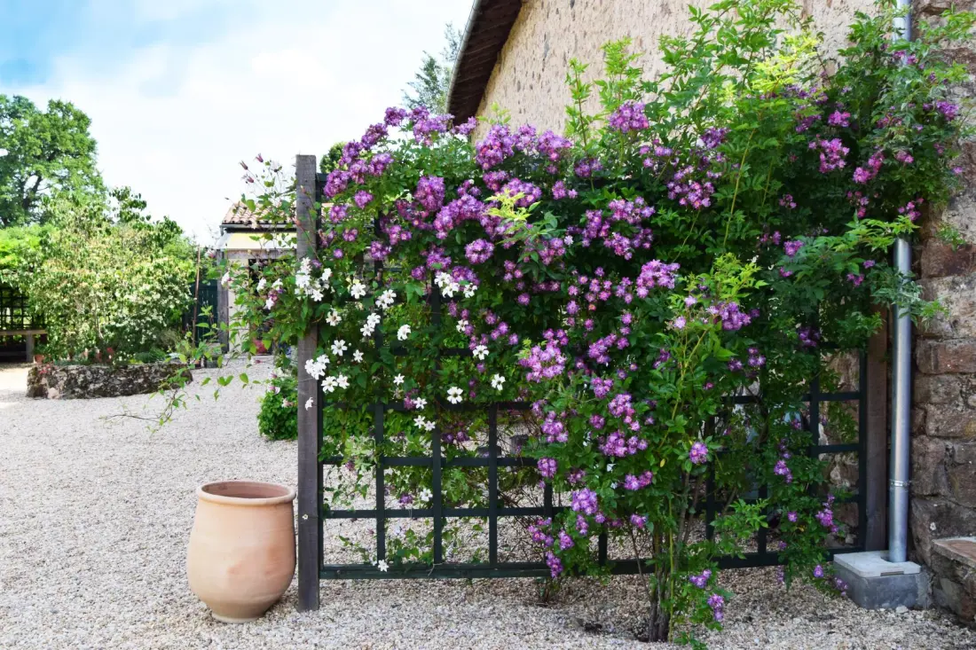 Gîte de France Artbarn 4 épis
