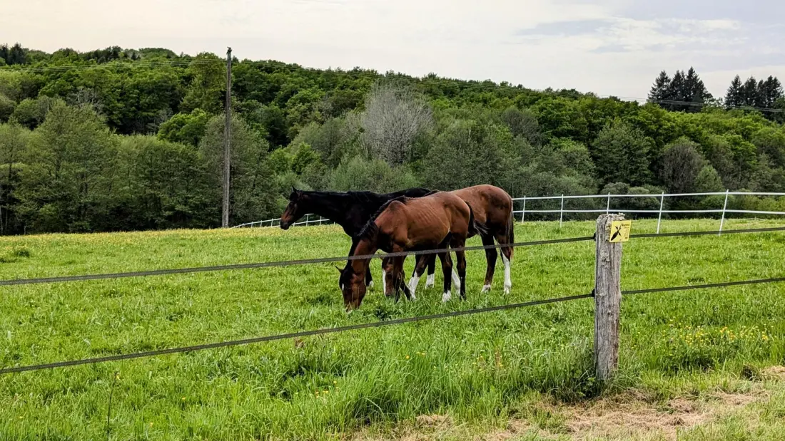 Gîte de France Le ranch des ours 3 épis