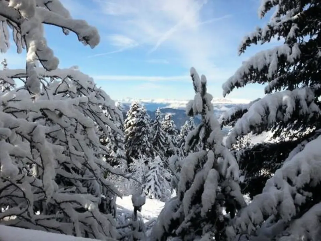 Chalets à Chamrousse