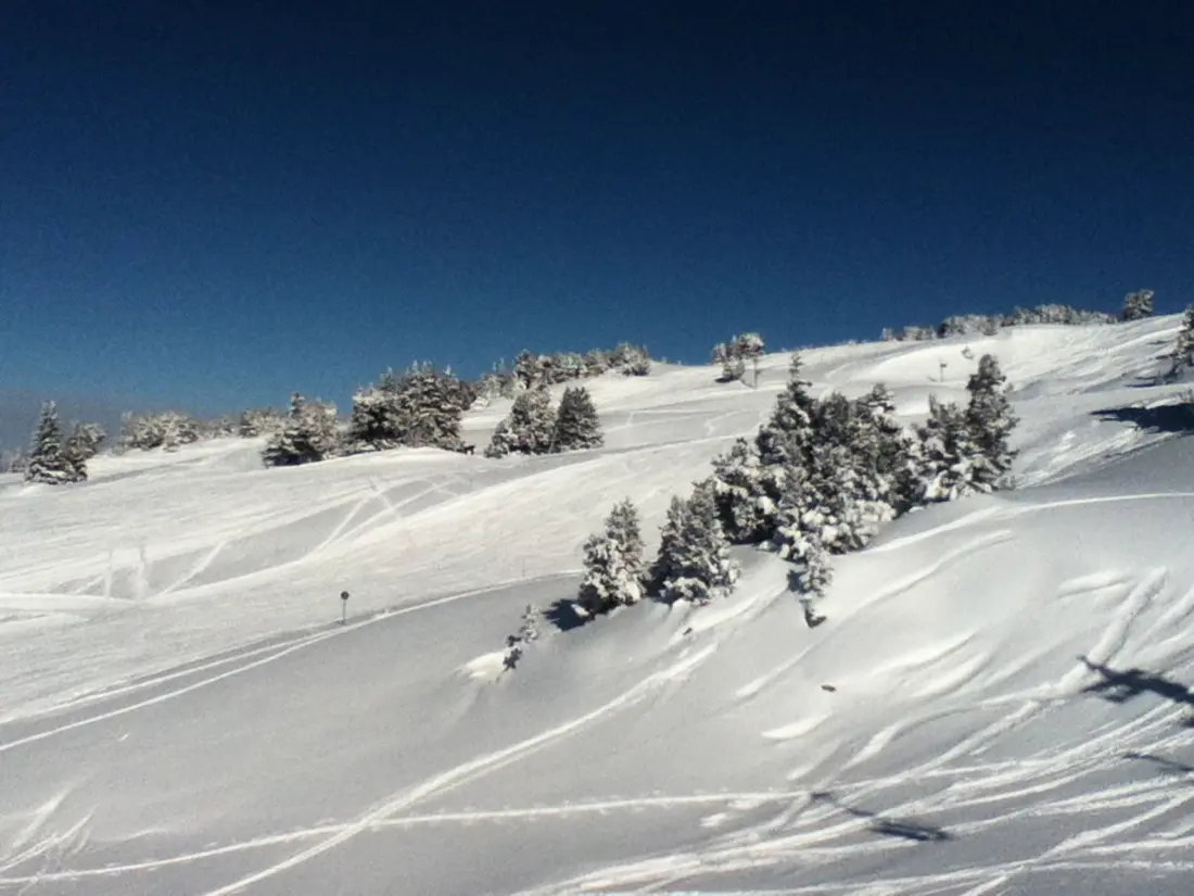 Location de Vacances Chamrousse 100