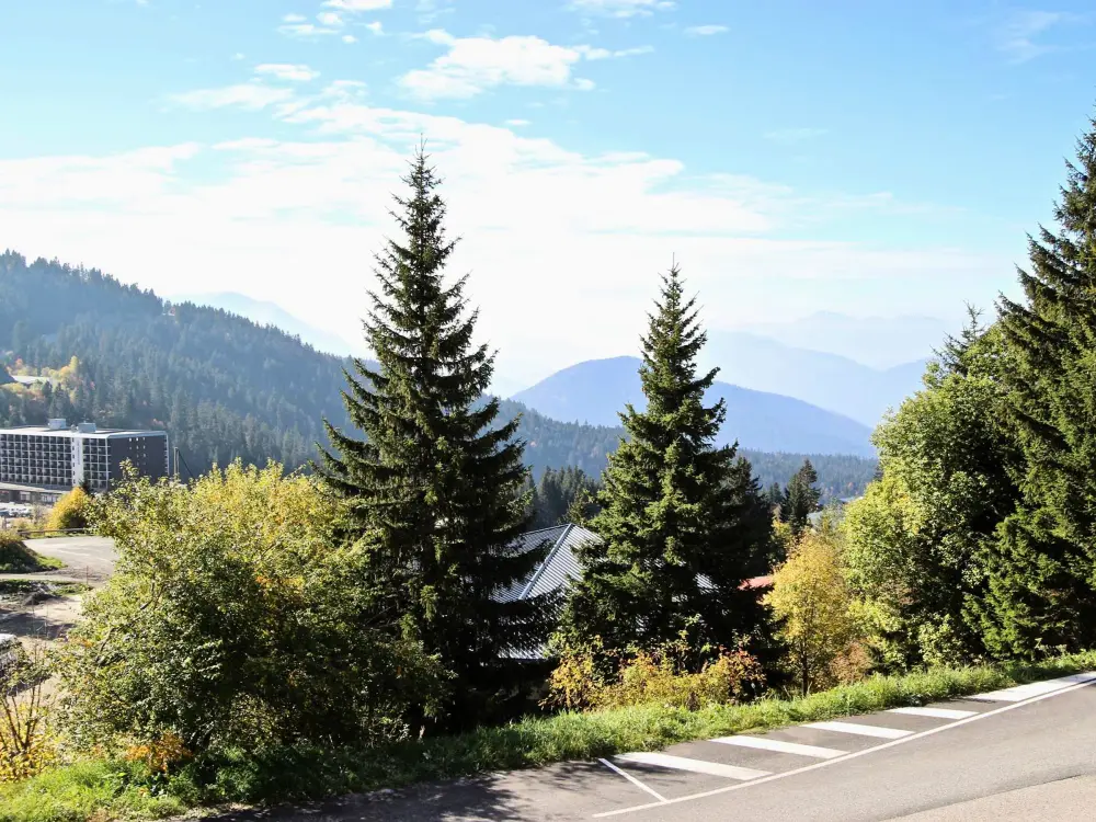 Location de Vacances Chamrousse 102