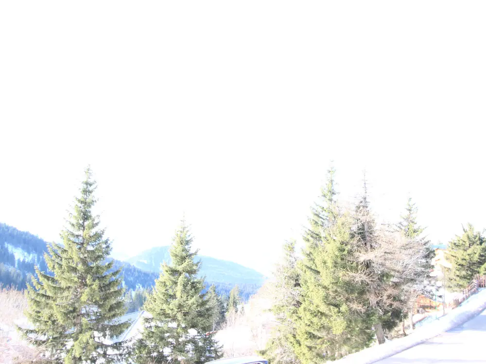 Location de Vacances Chamrousse 102