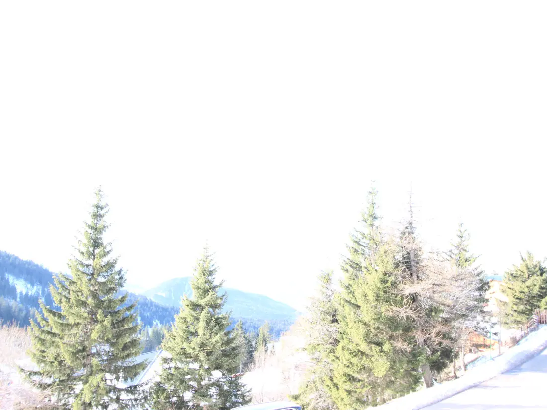 Location de Vacances Chamrousse 102
