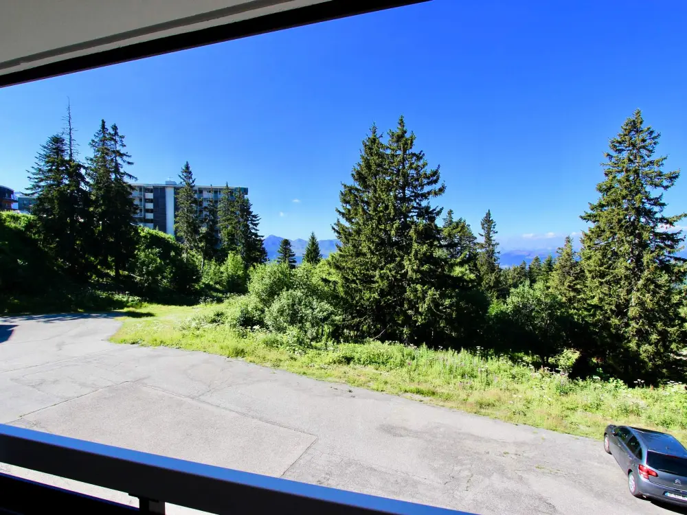 Location de Vacances Chamrousse 128