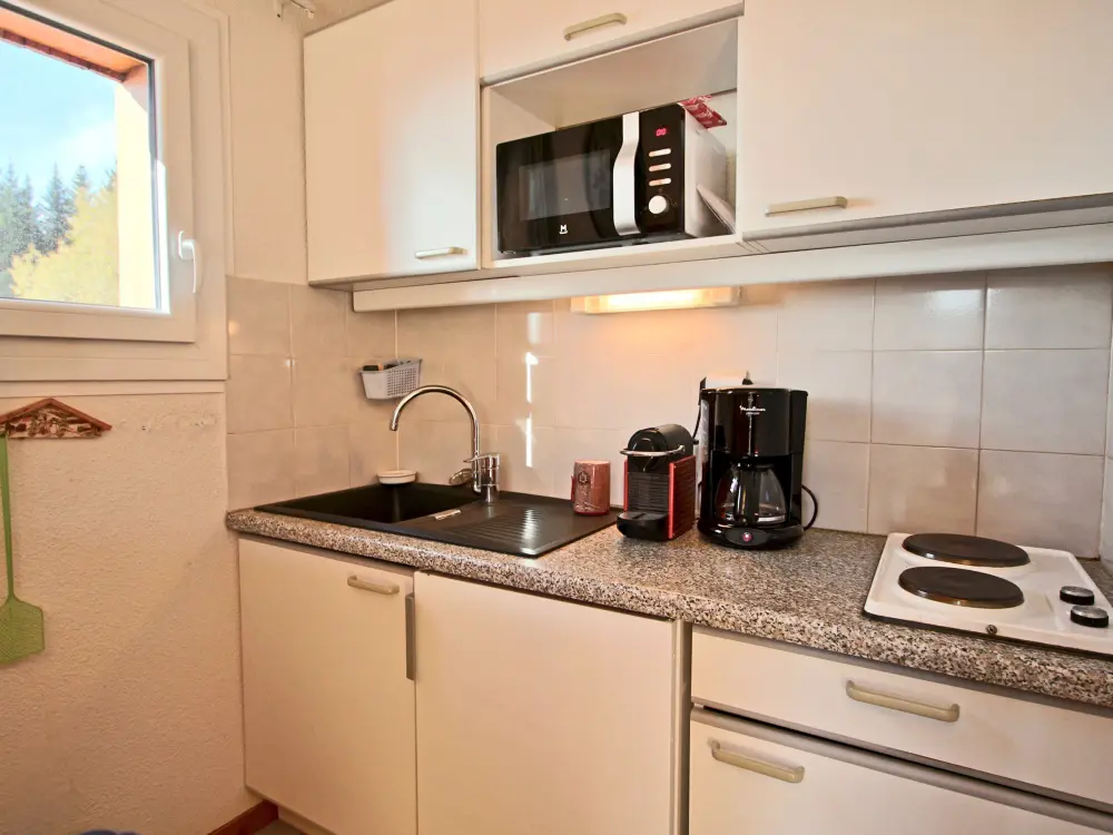Location de Vacances Chamrousse 134