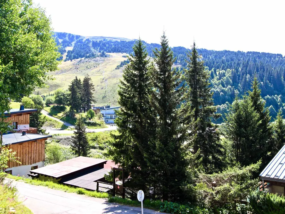 Location de Vacances Chamrousse 139