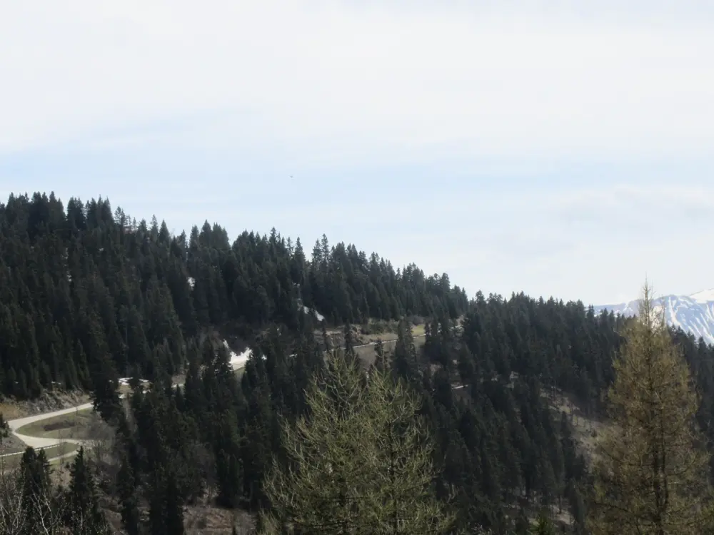 Location de Vacances Chamrousse 139