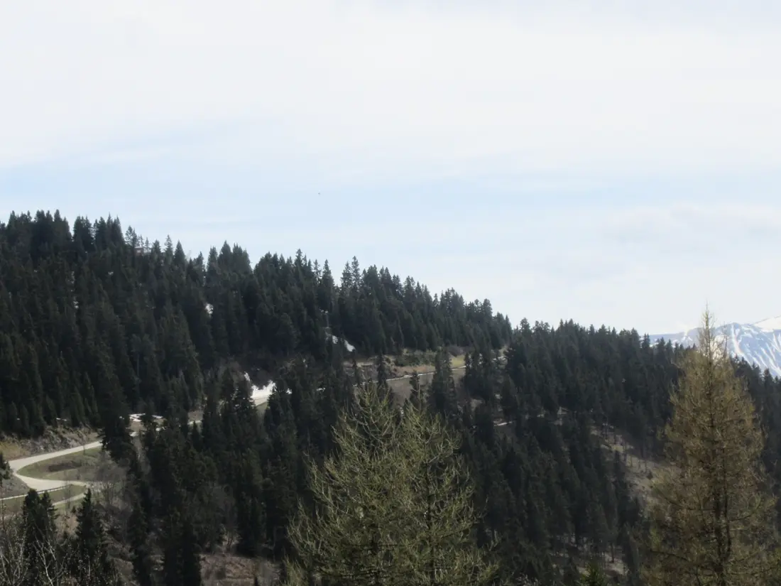 Location de Vacances Chamrousse 139