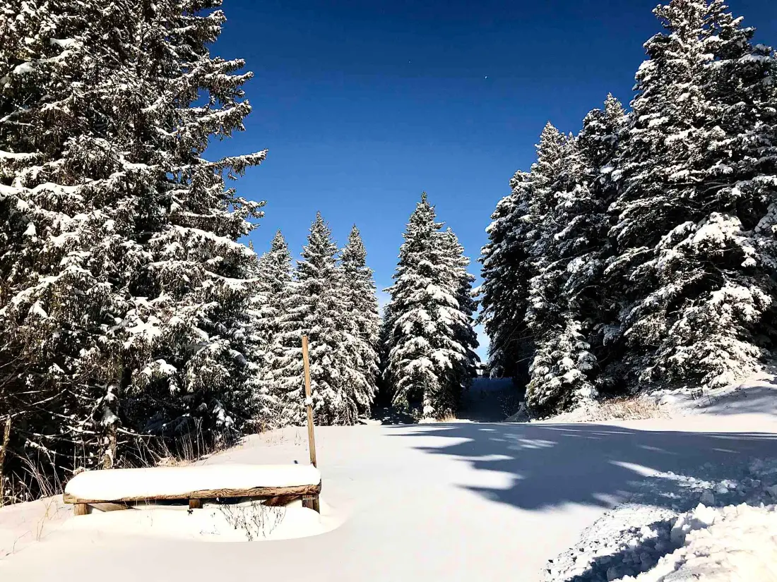Location de Vacances Chamrousse 142