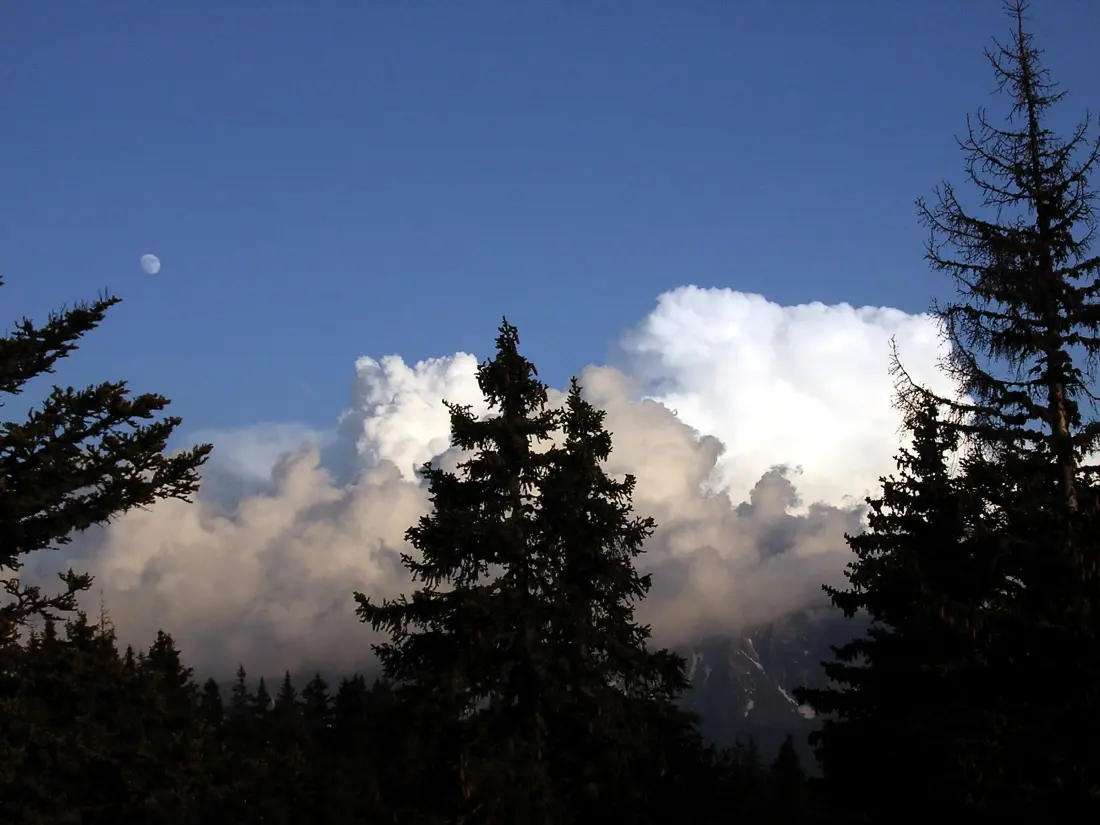Location de Vacances Chamrousse 154
