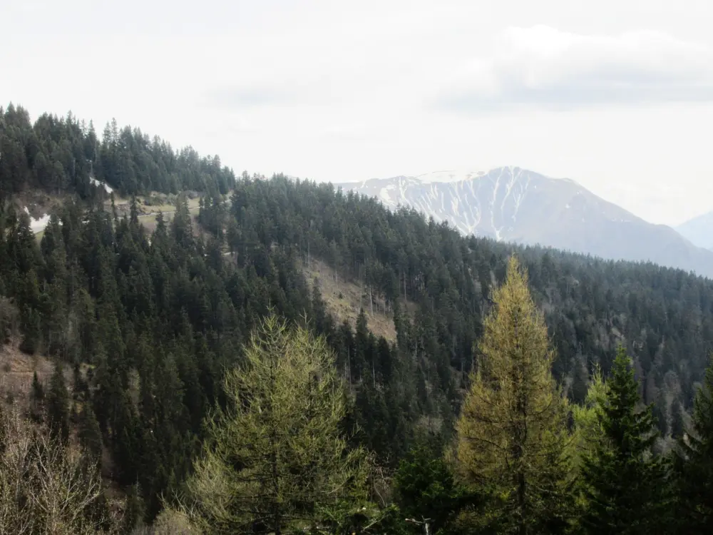 Location de Vacances Chamrousse 154