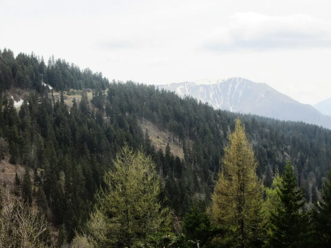 Location de Vacances Chamrousse 154