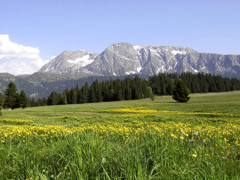Location de Vacances Chamrousse 154
