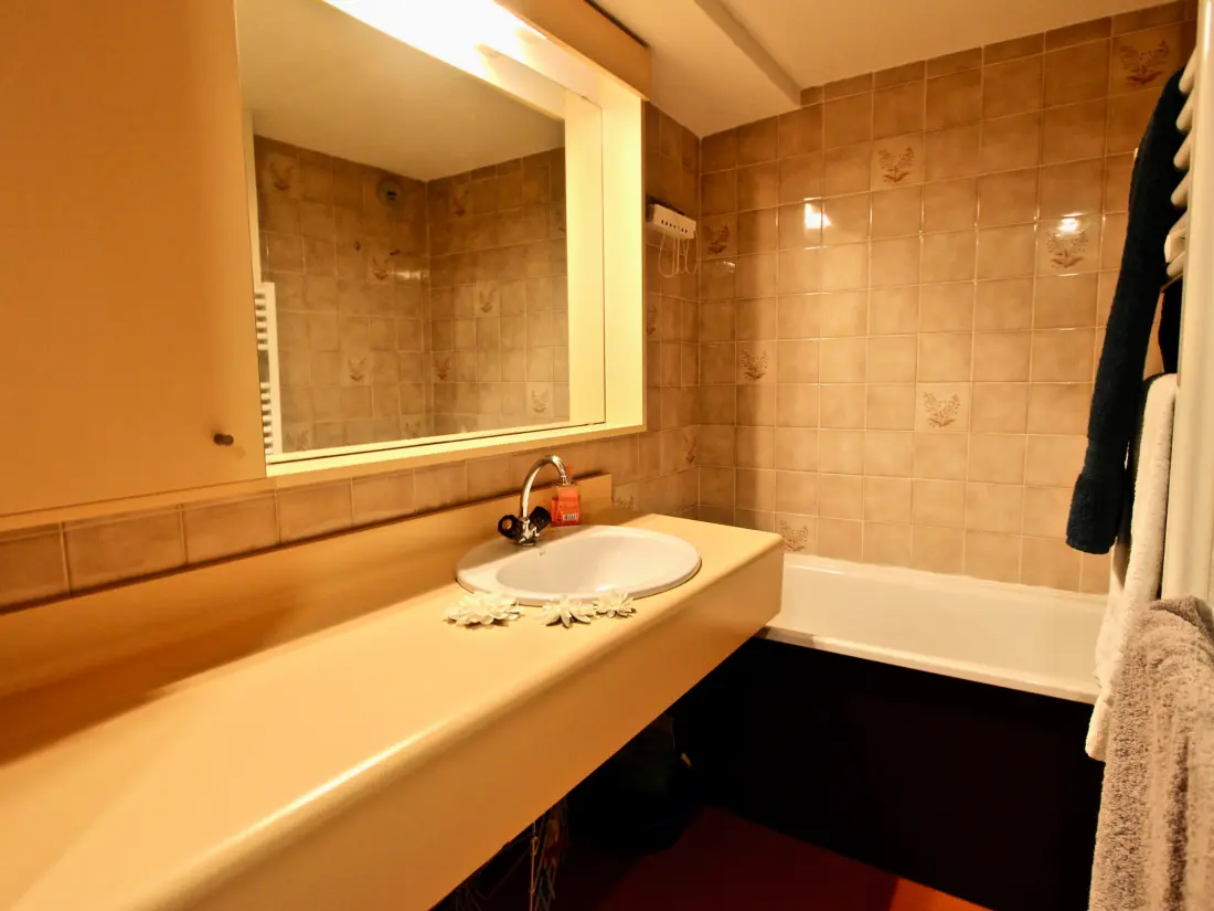 Location de Vacances Chamrousse 177