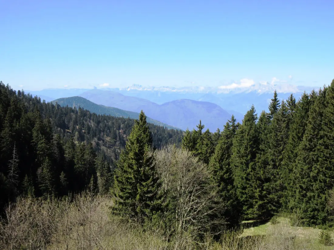 Location de Vacances Chamrousse 177