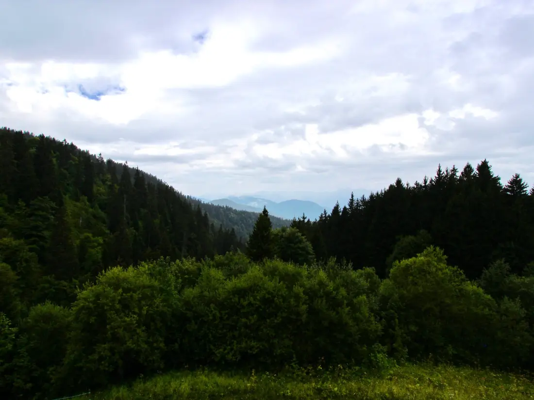 Location de Vacances Chamrousse 177