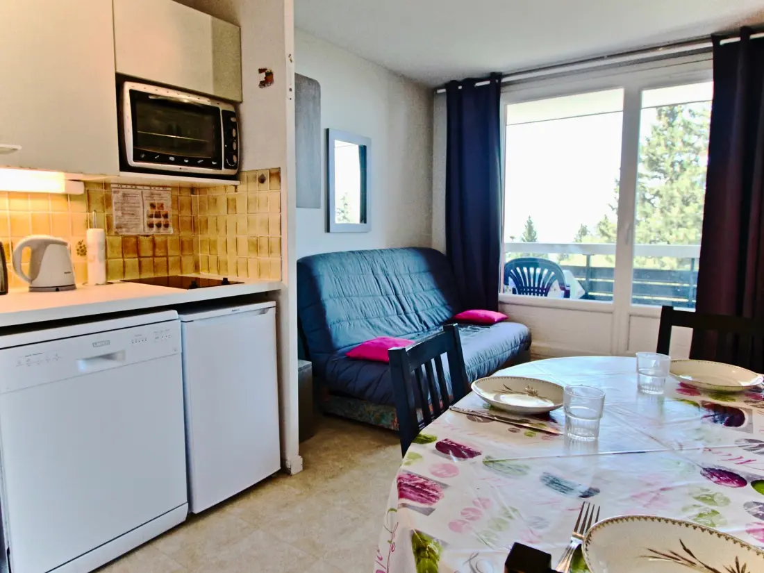Location de Vacances Chamrousse 185
