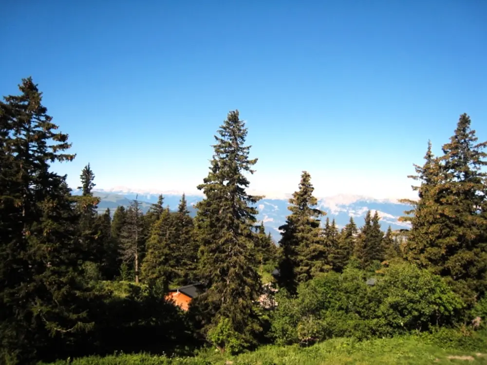 Location de Vacances Chamrousse 185