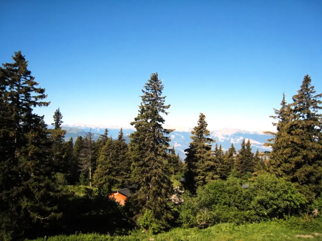 Location de Vacances Chamrousse 185