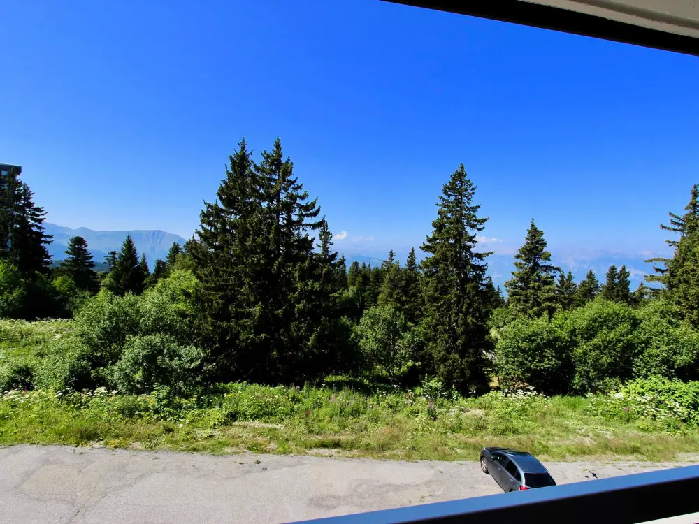 Location de Vacances Chamrousse 185