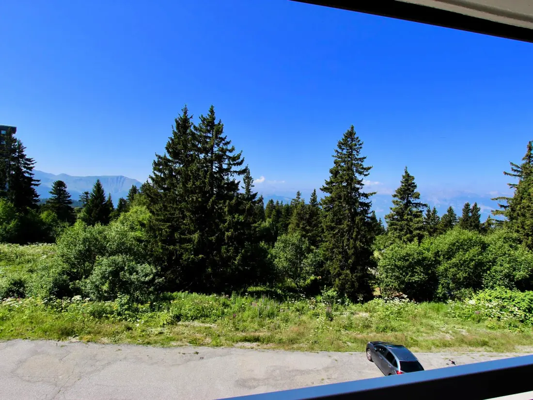 Location de Vacances Chamrousse 185