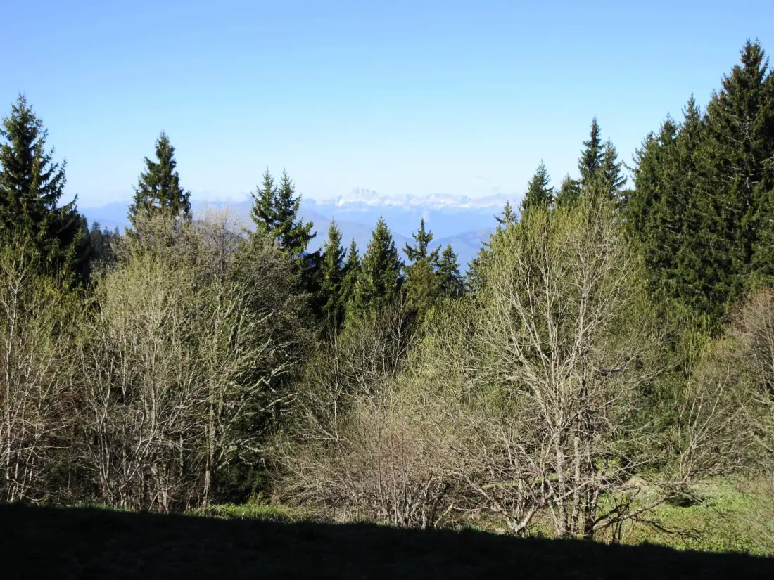 Location de Vacances Chamrousse 189
