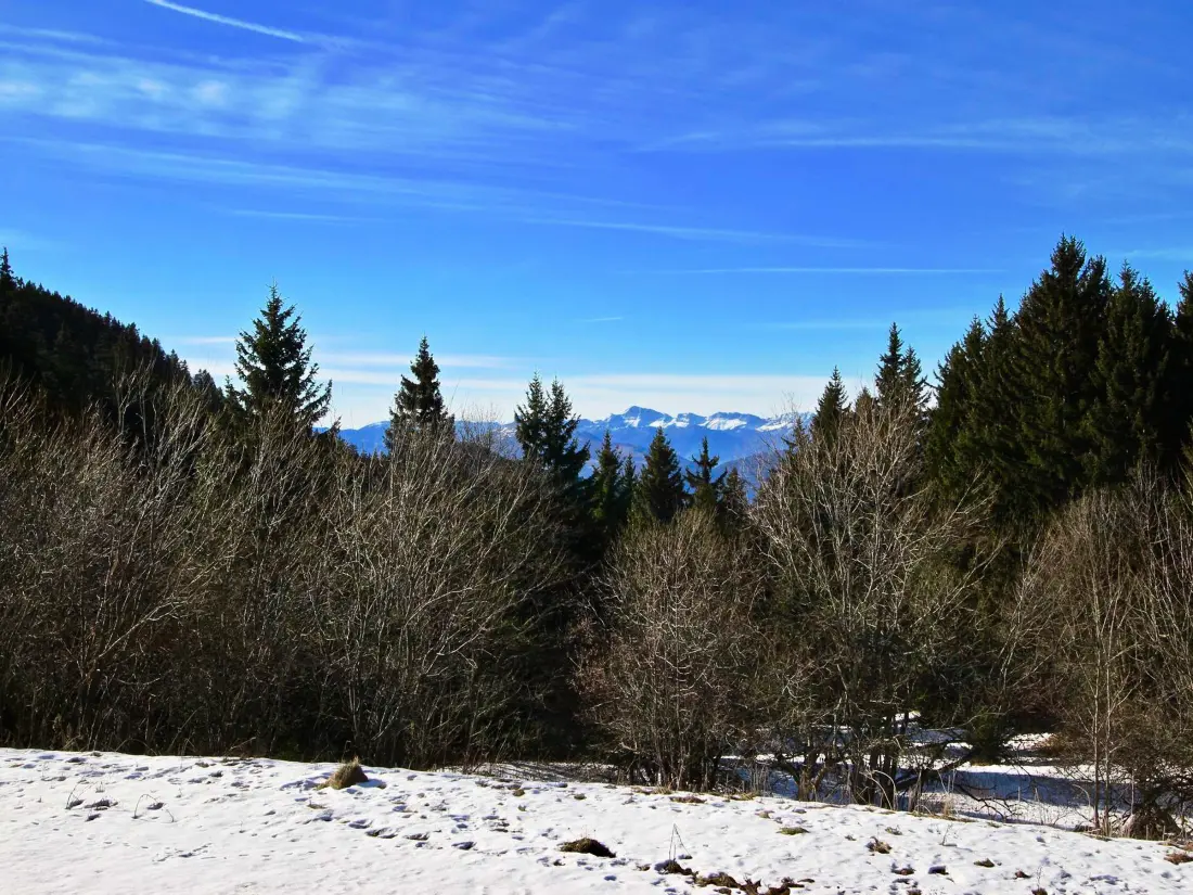 Location de Vacances Chamrousse 189