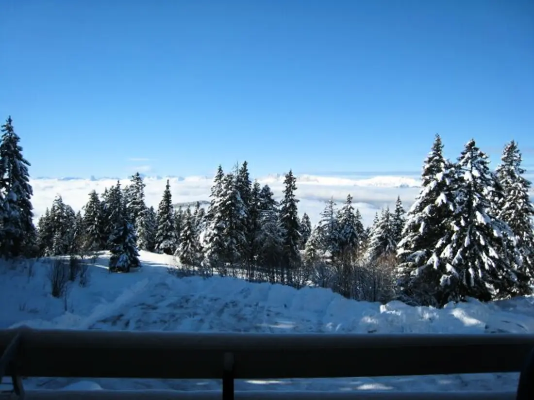 Location de Vacances Chamrousse 195