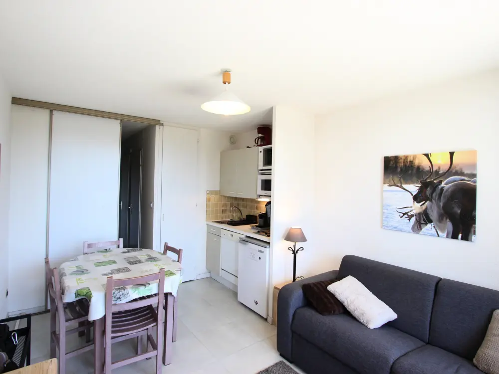Location de Vacances Chamrousse 201