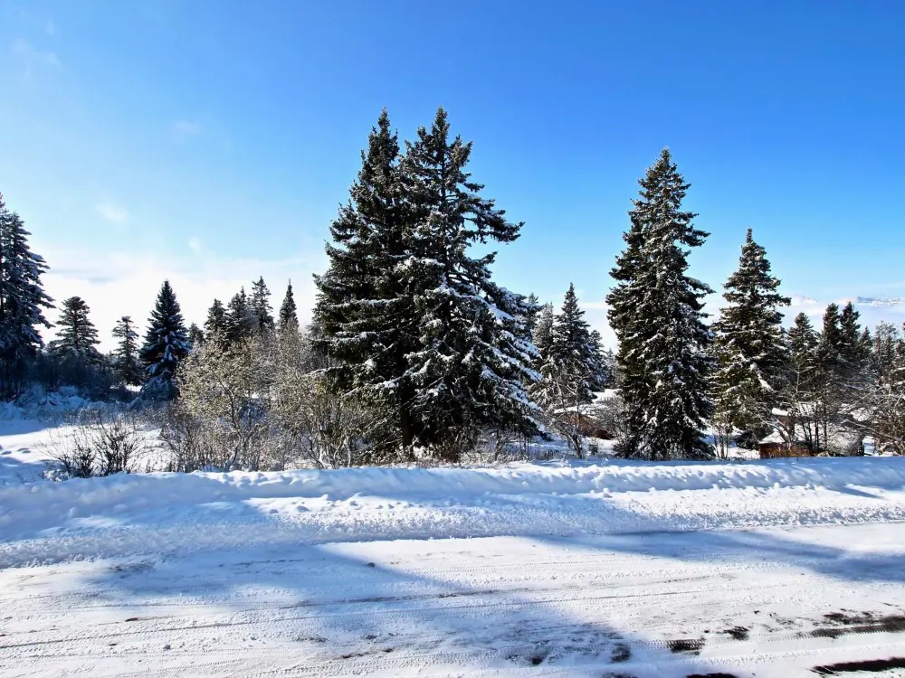 Location de Vacances Chamrousse 201