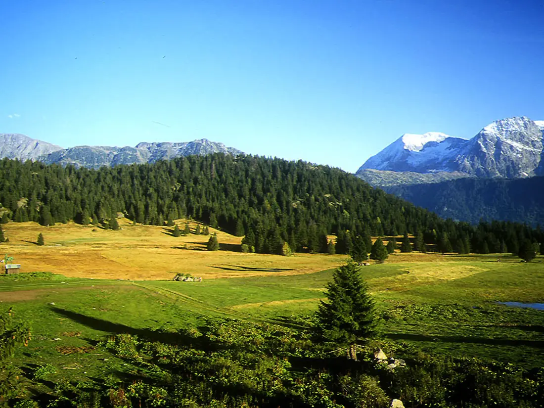 Location de Vacances Chamrousse 213