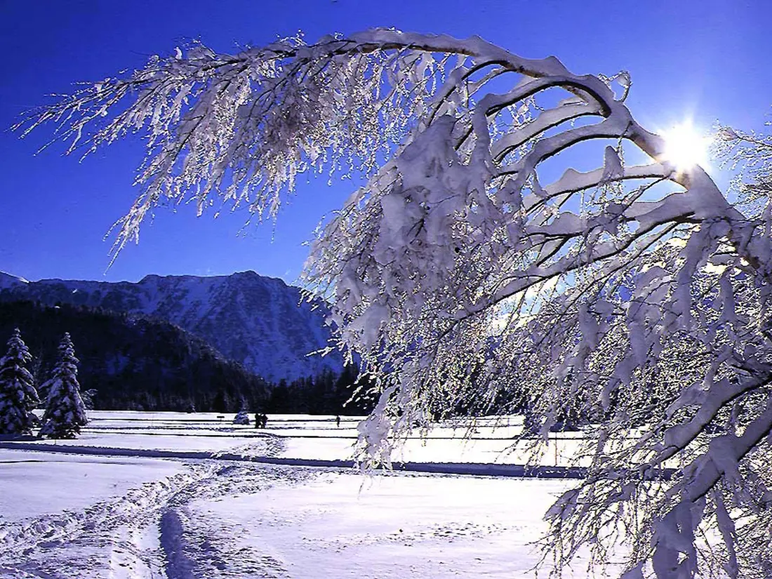 Location de Vacances Chamrousse 213