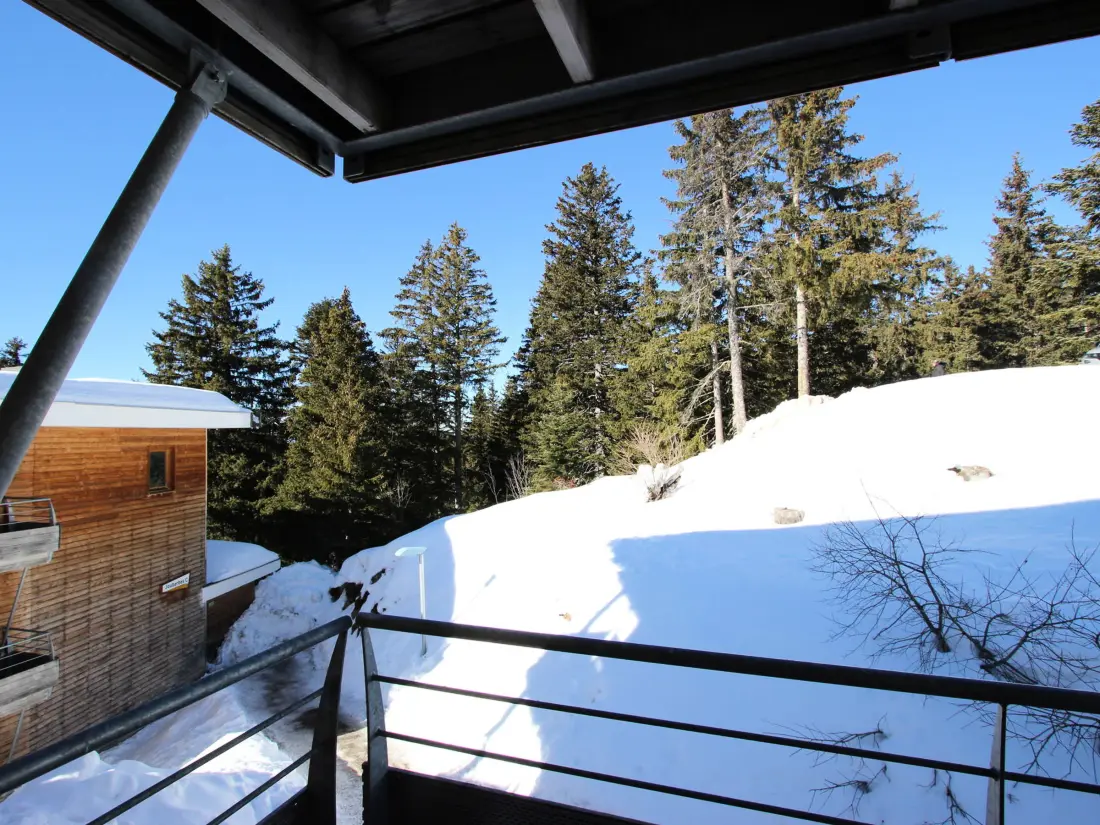 Location de Vacances Chamrousse 222