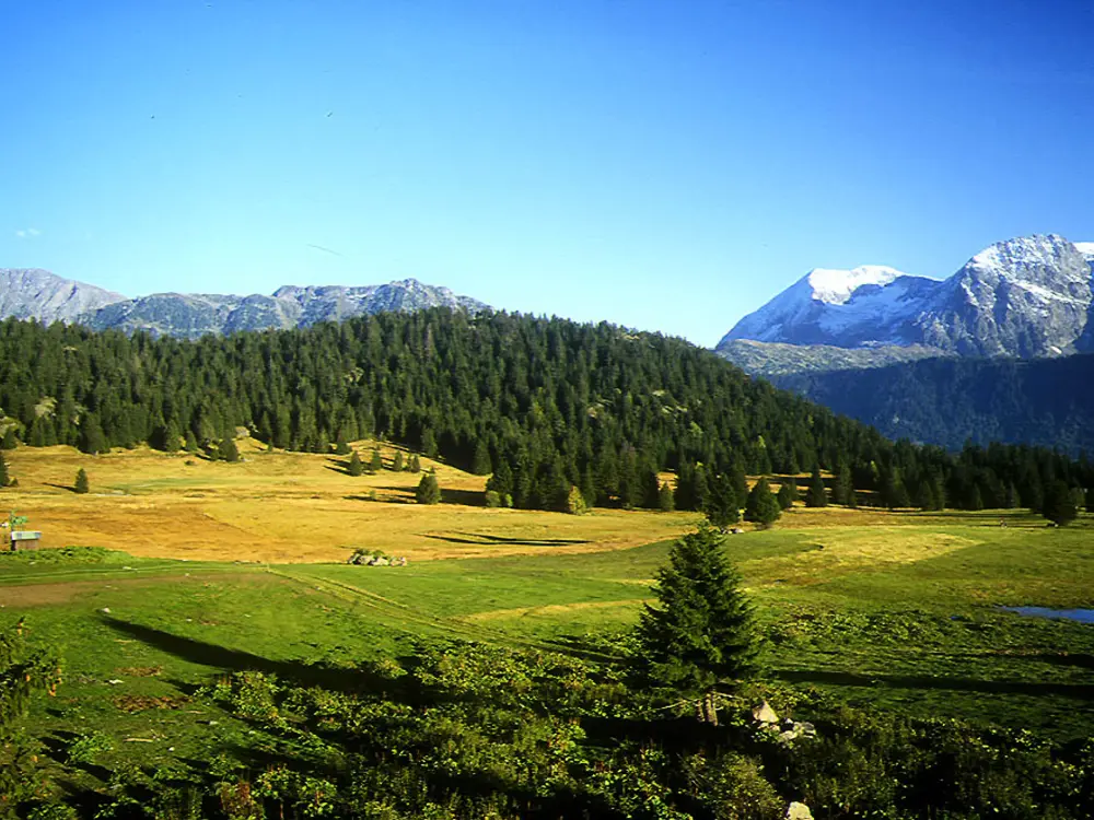 Location de Vacances Chamrousse 225