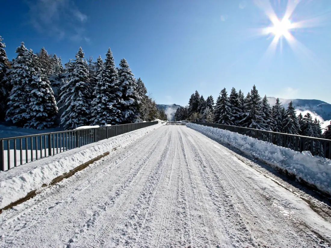Location de Vacances Chamrousse 227