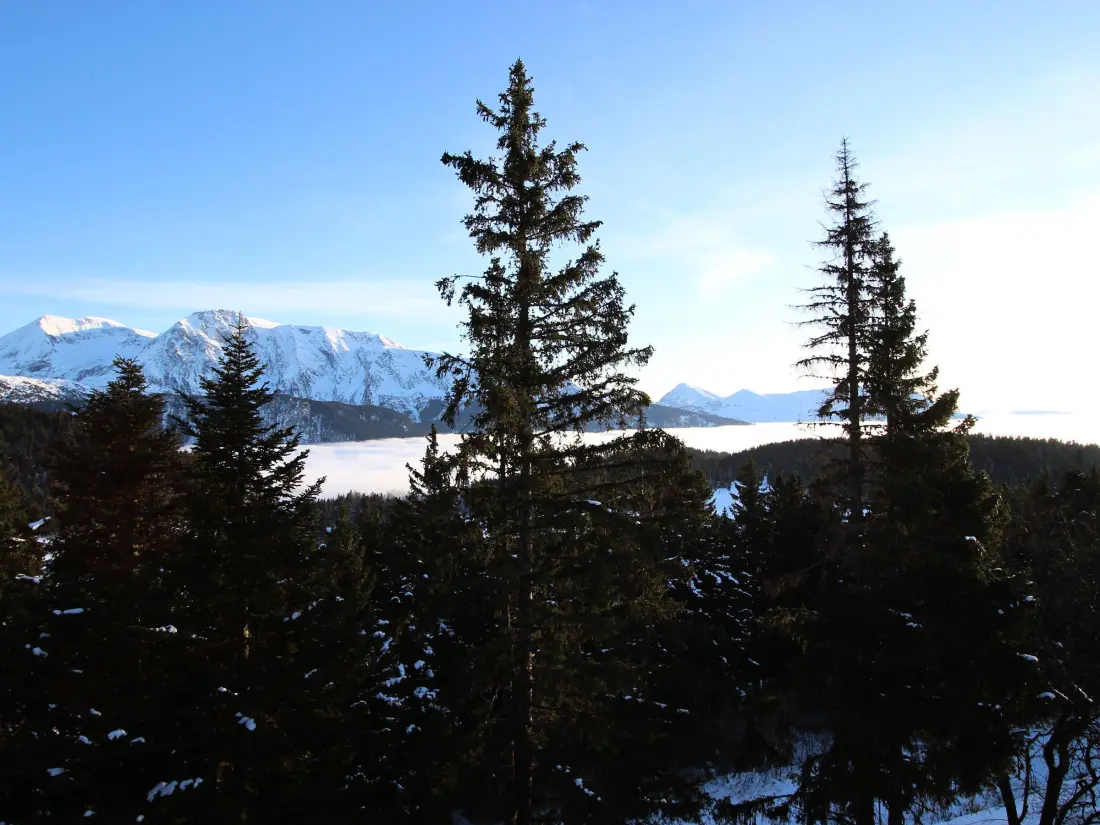 Location de Vacances Chamrousse 249