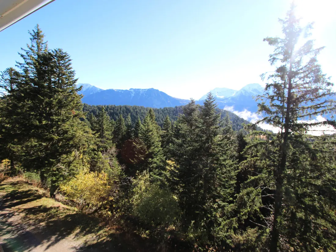 Location de Vacances Chamrousse 249