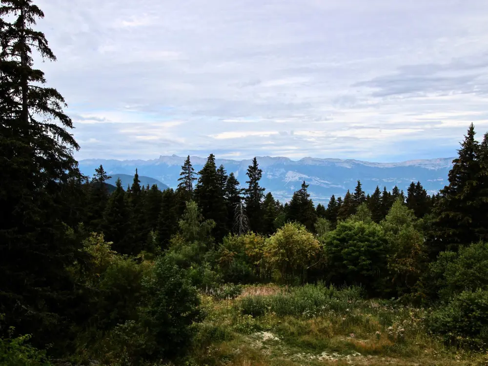 Location de Vacances Chamrousse 27