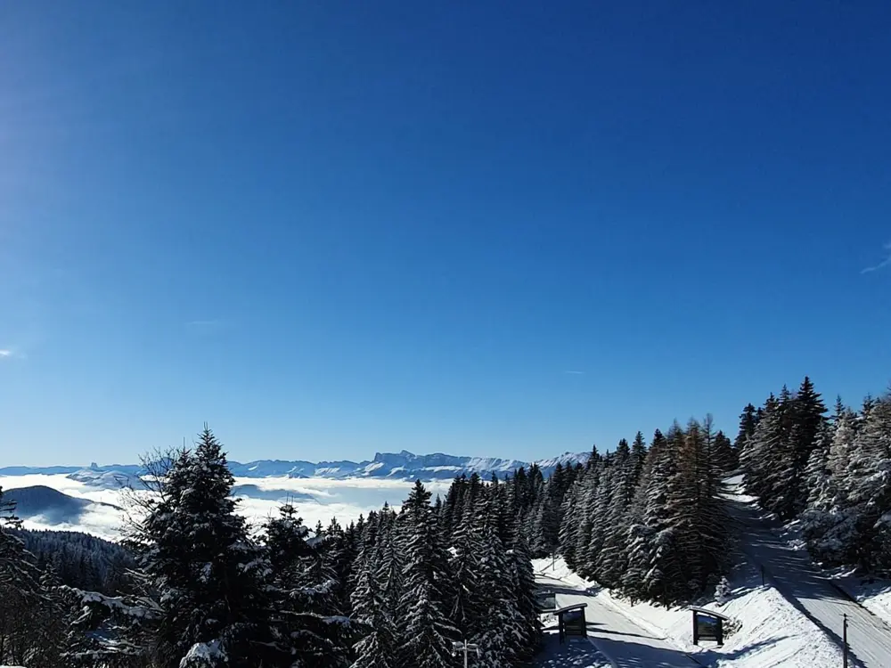 Location de Vacances Chamrousse 273